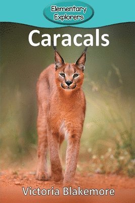 Victoria Blakemore - Caracals, Häftad