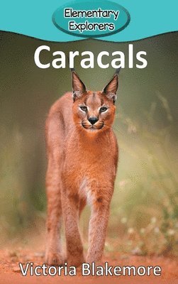 Victoria Blakemore - Caracals, Inbunden