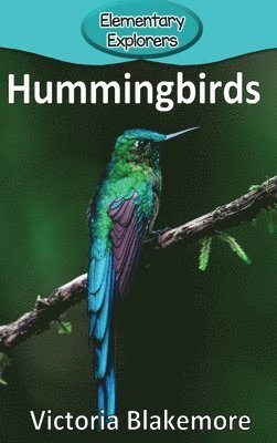 bokomslag Hummingbirds