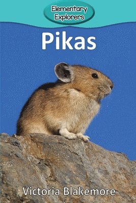 bokomslag Pikas