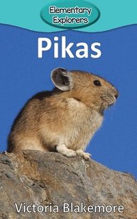 bokomslag Pikas