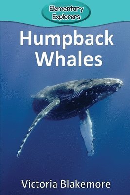 bokomslag Humpback Whales