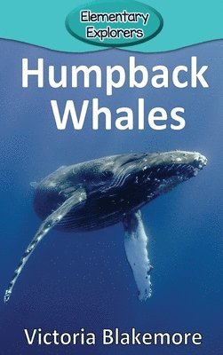 bokomslag Humpback Whales