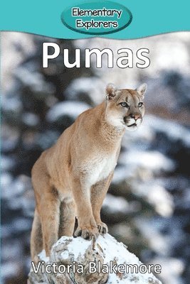 Pumas 1