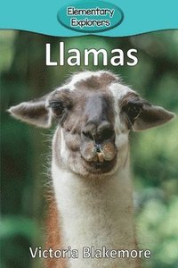 bokomslag Llamas