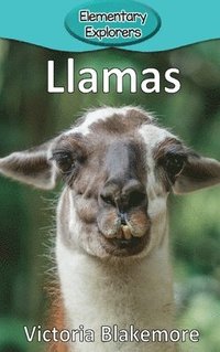 bokomslag Llamas