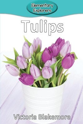 bokomslag Tulips