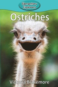 bokomslag Ostriches