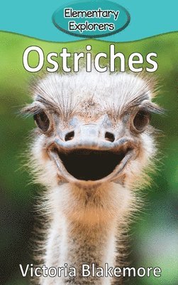 bokomslag Ostriches