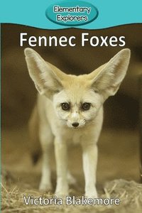 bokomslag Fennec Foxes