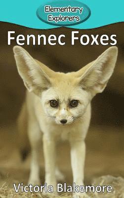 bokomslag Fennec Foxes