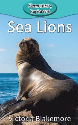 bokomslag Sea Lions