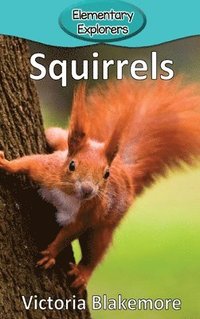 bokomslag Squirrels