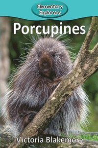 bokomslag Porcupines