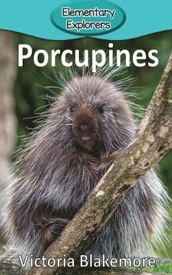 bokomslag Porcupines