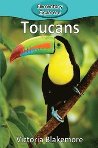 bokomslag Toucans