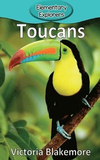 bokomslag Toucans