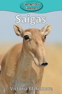 bokomslag Saigas