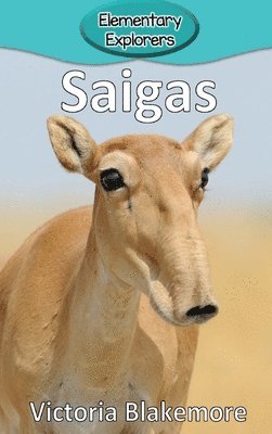 bokomslag Saigas