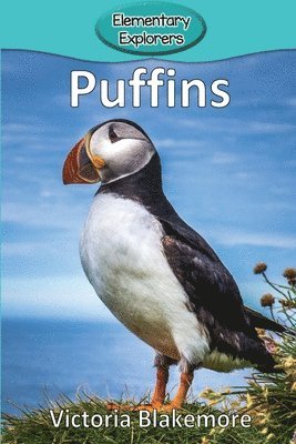 bokomslag Puffins