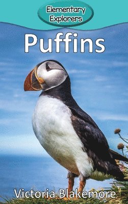 bokomslag Puffins