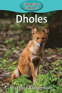 bokomslag Dholes