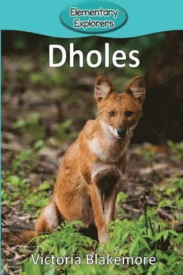 bokomslag Dholes