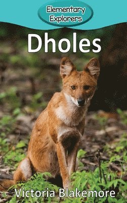 bokomslag Dholes