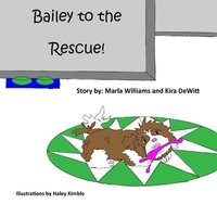 bokomslag Bailey to the Rescue!