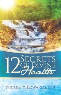 bokomslag 12 Secrets Of Divine Health