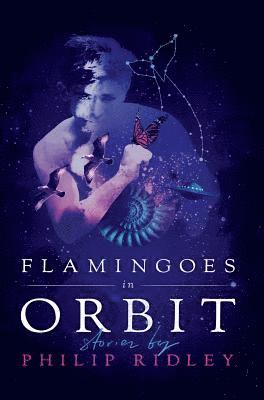 Flamingoes in Orbit 1