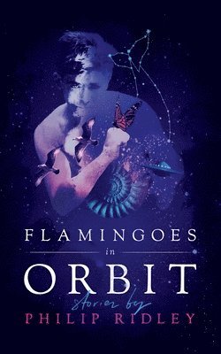 Flamingoes in Orbit 1