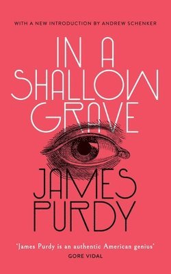 James Purdy - In a Shallow Grave, Häftad
