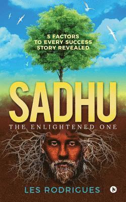 Sadhu: The Enlightened One 1