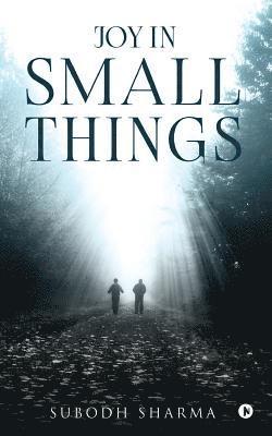bokomslag Joy in Small Things