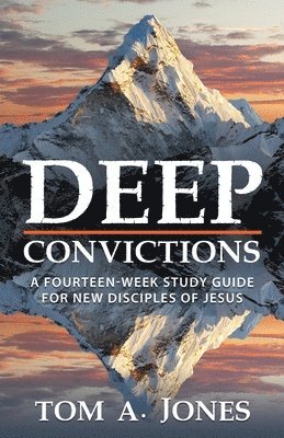 bokomslag Deep Convictions