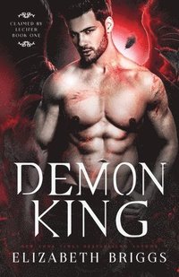 bokomslag Demon King