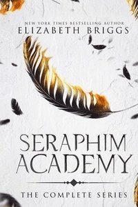 bokomslag Seraphim Academy