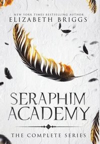 bokomslag Seraphim Academy