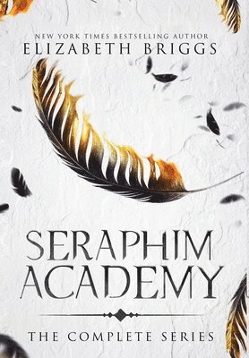 bokomslag Seraphim Academy