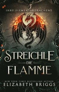 bokomslag Streichle Die Flamme