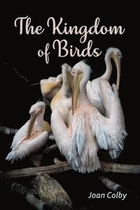 bokomslag The Kingdom of Birds