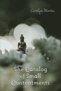 bokomslag The Catalog of Small Contentments