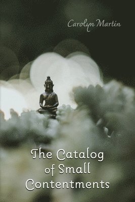 The Catalog of Small Contentments 1