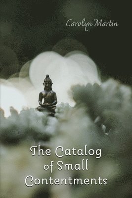 Catalog of Small Contentments