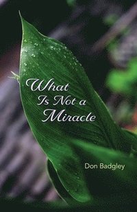 bokomslag What Is Not a Miracle