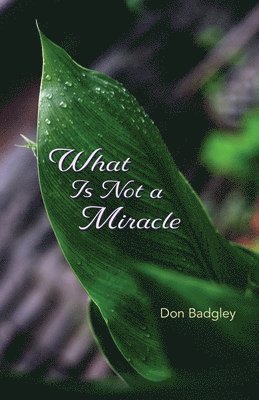 Don Badgley - What Is Not a Miracle, Häftad