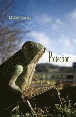 bokomslag Protection