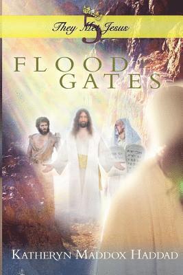 bokomslag Flood Gates