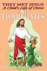 bokomslag Flood Gates